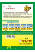Arzuman Crimson Sweet Karpuz Tohumu 10 Gram - 2