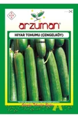 Arzuman Çengelköy Tipi Hıyar Tohumu 10 Gr - 1