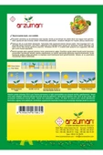 Arzuman Kemer Patlıcan Tohumu 10 Gram - 2
