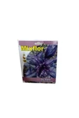 canlipetshop Mixflor Mor Reyhan Tohumu - 1