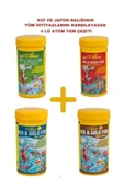 Ahm Koi ve Japon Balığı İçin Özel Yem Seti 4 Kutu (AHM Pond Sticks 250 ml) - 1