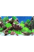canlipetshop Arka Fon 50 Cm Uzunluk (YÜKSEKLİK 40 CM) No 9028 - 1