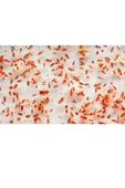 canlipetshop Su piresi 1 Paket Protein Kaynağı A kalite besin Hızlı balık büyütme Üretme - 2
