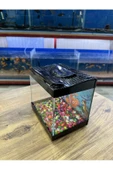 ErtargınShop Siyah Renkli Kare Mini Akvaryum 20x20x15 - 2