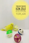 canlipetshop Zilli Oyun Topu Kuş Oyuncağı 3 Adet - 1