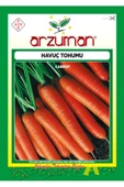 Arzuman Nantes Havuç Tohumu 10 Gram - 1