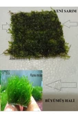 KARİDES MARKET 2 ADET 5-5 Cm Flame Moss YENİ TELE SARIM - 1
