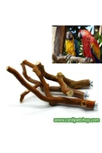 canlipetshop Dogal Dal Tünek Ince Kızıl Renk Çatal Şekilli 18-25 Cm Bütün Kafes Kuşları Için - 1
