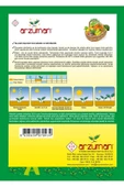 Arzuman Kandil Dolma Biber Tohumu 10 Gram - 2