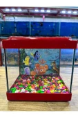 ErtargınShop Kırmızı Renkli Kare Mini Akvaryum 20x20x15 - 1