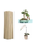 canlipetshop Saksı Bitkileri Destek Çubuğu 40 Cm 50ad - 1
