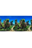 canlipetshop Arka Fon (Kayıp Orman) 50 cm Uzunluk Yükseklik 40 Cm No:8016 - 1