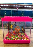 ErtargınShop Pembe Renkli Mini Kare Akvaryum 20x20x15 Deniz Kabugu Hediyeli Karışık Renkte Gönderilir - 1