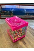 ErtargınShop Pembe Renkli Mini Kare Akvaryum 20x20x15 Deniz Kabugu Hediyeli Karışık Renkte Gönderilir - 3