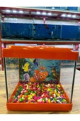 ErtargınShop Turuncu Renkli Mini Kare Akvaryum 20x20x15 - 1