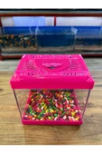 ErtargınShop Pembe Renkli Mini Kare Akvaryum 20x20x15 Deniz Kabugu Hediyeli Karışık Renkte Gönderilir - 2