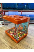 ErtargınShop Turuncu Renkli Mini Kare Akvaryum 20x20x15 - 2