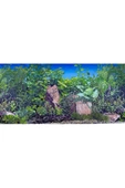 canlipetshop Arka Fon (Bitkili) 50 cm Uzunluk Yükseklik 50 Cm No: F6 - 1