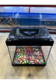 ErtargınShop Siyah Renkli Kare Mini Akvaryum 20x20x15 - 3