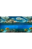 canlipetshop Arka Fon (Balık Okyanusu) 50 cm Uzunluk Yükseklik 60 Cm No:9067 - 1