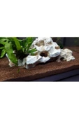 TROPİKAL Beyaz Yıkanmış Lav Kırığı 1 kg 2-4 mm - 1
