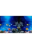 canlipetshop Arka Fon (Deniz Akvaryumu) 50 cm Uzunluk Yükseklik 60 Cm No:9081 - 1