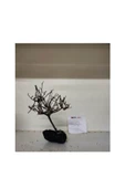 canlipetshop Özel Tasarım Akvaryum Dekoratif Ağaç Kaya 20-15 Cm No:30 - 1