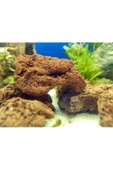 IdMuDecoration Lav Kayası 4 Adet 5-7 Cm - Akvaryum Dekor Kayası - Taşı thumbnail 3
