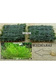 KARİDES MARKET 2 Adet 5-5 Cm Java Moss Yeni Tele Sarılı - 1