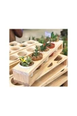 TROPİKAL Kaktüs Standı 2'li 15x8 Cm - 1