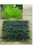 KARİDES MARKET 2 Adet 5-5 Cm Java Moss Yeni Tele Sarılı - 2
