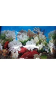 canlipetshop Arka Fon Mercan Görünümlü 50 Cm Uzunluk (YÜKSEKLİK 40 CM) No 9029 - 1