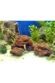 IdMuDecoration Lav Kayası 4 Adet 5-7 Cm - Akvaryum Dekor Kayası - Taşı thumbnail 1