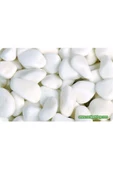 TROPİKAL Beyaz Orta Çakıl Kum 10 Mm 750 Gr - 1