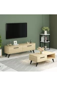 DemonteHome  MELİSADH ORTA SEHPA SAFİRMEŞE - 3