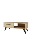 DemonteHome  MELİSADH ORTA SEHPA SAFİRMEŞE - 5