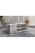 DemonteHome  YUMEDİDH ORTA SEHPA BEYAZ-GÜMÜŞ - 2