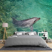 Deniz ve Yunus Balığı Temalı Duvar Kağıdı thumbnail 2