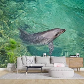 Deniz ve Yunus Balığı Temalı Duvar Kağıdı thumbnail 1