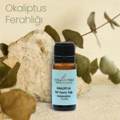 NPO Yogaroma Derin Nefes Ferahlatıcı Aromaterapi Saf ve Doğal Okaliptus Uçucu Yağ - 9