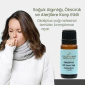 NPO Yogaroma Derin Nefes Ferahlatıcı Aromaterapi Saf ve Doğal Okaliptus Uçucu Yağ - 5