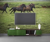 Kırsal ve At Manzaralı Duvar Kağıdı thumbnail 3