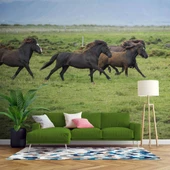 Kırsal ve At Manzaralı Duvar Kağıdı thumbnail 1