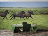 Kırsal ve At Manzaralı Duvar Kağıdı thumbnail 4