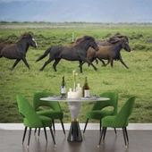 Kırsal ve At Manzaralı Duvar Kağıdı thumbnail 5