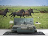 Kırsal ve At Manzaralı Duvar Kağıdı thumbnail 2