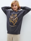 Aslan Desenli Erkek Çocuk Sweatshirt thumbnail 2