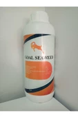 Seaweed Sebze Meyve Bitki Besin Gübresi 1 Lt 1 Adet - 1