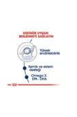 Royal Canin Maxi Adult Yetişkin Köpek Yaş Maması 140gr - 4