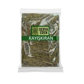 Kayışkıran Otu (Kayış Kıran) 100 gr, Derya Eren thumbnail 1